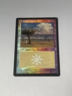 MTG 平地 ODY Foil 1枚