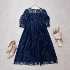 未使用haremode ハレモード 花柄刺繍ミディ丈ドレスネイビー4L - メルカリ