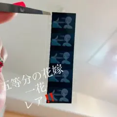 五等分の花嫁 特典 生コマフィルム いちか 中野一花 一花