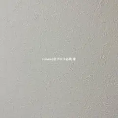 Hinako＠プロフ必読 様