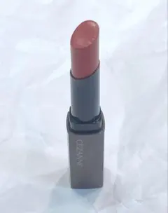 セザンヌ リップカラーシールド 04