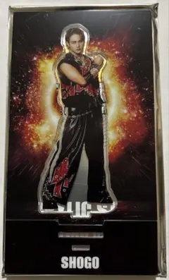 岩谷翔吾 アクリルスタンド