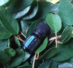 （再出品）26日（金）22時迄　なぁ様 リクエスト 2点 まとめ商品