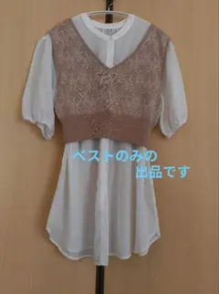 ニットベスト フリーサイズ