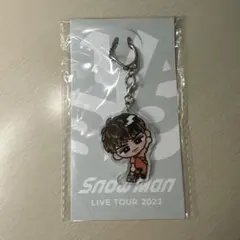 向井康二 アクリルキーホルダー