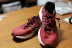 Nike Running シューズ ボルドーカラー