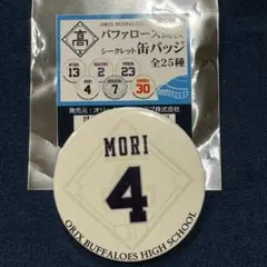 Item thumbnail for item 6f8964cf-438c-431e-b6d3-2af07b9fb770