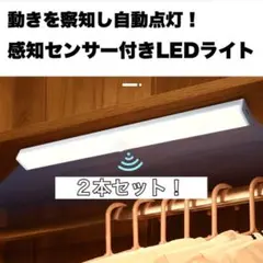 휴먼 센서 라이트 센서 라이트 LED 인테리어 도어 2 개 세트