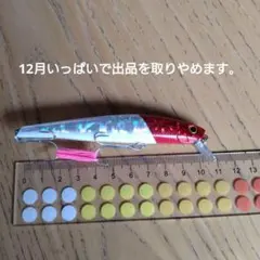 Hide様 リクエスト 2点 まとめ商品