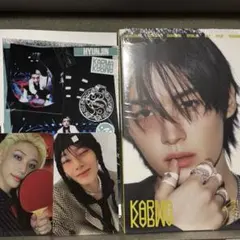 KARMA Accordion リノ　スキズ 開封済