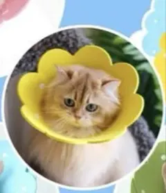 【1415】猫用犬用 ソフト傷舐め防止 去勢手術 避妊 湿疹 傷口保護S 黄色