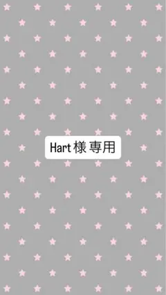Hart 様専用 IVE リズ トレカ