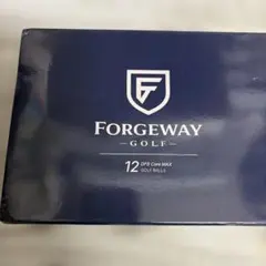 FORGEWAY DFS Core MAX ゴルフボール 12球のサムネイル