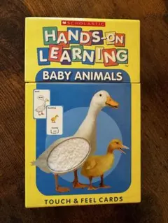 Item thumbnail for item acf8fe56-ab48-484b-abe3-2178c7b5e13e