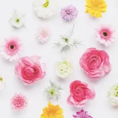 Meg様 リクエスト 2点 まとめ商品