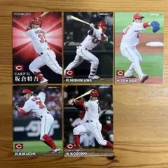 カルビー  プロ野球チップス 2023年 広島東洋カープ 5枚セット