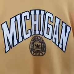 NCAA FINAL FOUR ミシガン スウェット