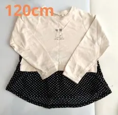 Item thumbnail for item c8ce371e-3cc2-4f5f-8674-c7b0d4c6f562