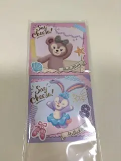 【東京ディズニーリゾート ディズニーシー】ダッフィー＆フレンズ メモ帳2冊セット