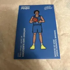 島根スサノオマジック バスケットボール