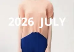 PLEATS PLEASE monthly JULY ペールオレンジ　試着のみのサムネイル