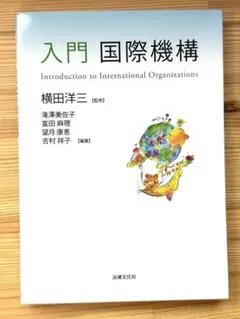 入門 国際機構｜国際関係の基礎が学べる一冊