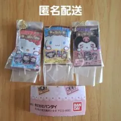 サンリオキャラクターズ キャラパキミニチュアコレクション　3個セット