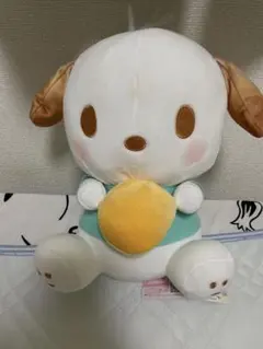 ❤︎人気❤︎ サンリオのポチャッコ　Sanrio