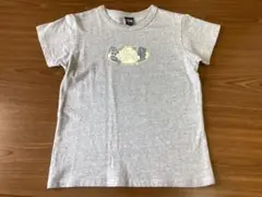 [未使用] Stussy ステューシー 半袖Tシャツ グレー Mのサムネイル