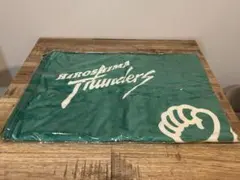 広島サンダーズ バレーボール