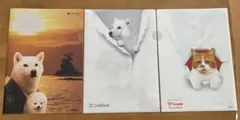 お父さん犬　ふてにゃん　ソフトバンク 非売品 ファイル2種3枚セット
