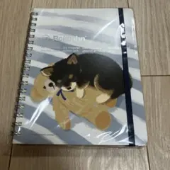 2025年最新】ロルバーン 文具女子博 ロントゥモンの人気アイテム