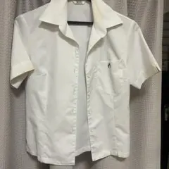 Item thumbnail for item 2e71658d-b3d4-4083-b1c0-2e1644f94721