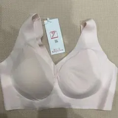 Item thumbnail for item cf569d8b-9c7c-4db2-84c0-2d12e1589281