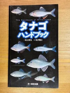 Item thumbnail for item a31e699b-abe1-4e77-9e84-a191e9f66ba9