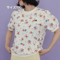 soft cheese FRUIT OF THE LOOM 170cmのサムネイル