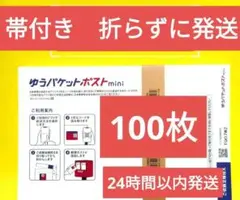 ゆうパケットポストmini専用封筒　100枚 シール部幅広タイプ