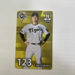 Item thumbnail for item fad53ca3-1760-46fe-9bed-381ec2730555