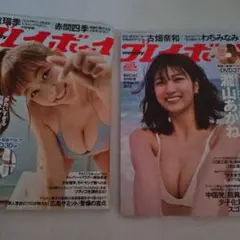 プレイボーイ 2022年 DVD付き2点セット　「ス」