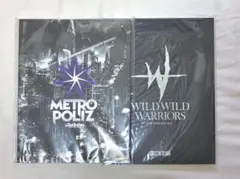METROPOLIZ WILD WILD WARRIORS ツアーパンフレット