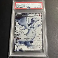 2026年最新】レシラム bw psa10の人気アイテム - メルカリ