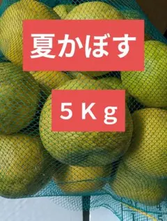 夏かぼす　5 Kgのサムネイル