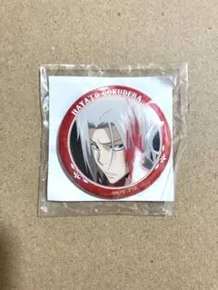 家庭教師ヒットマンREBORN! 獄寺隼人 缶バッジ - メルカリ