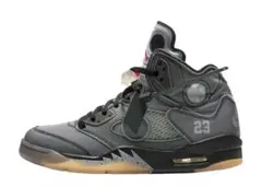 NIKE OFF-WHITE AIR JORDAN5 RETRO 27.5cmのサムネイル