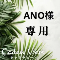 ANO様 リクエスト 2点 まとめ商品