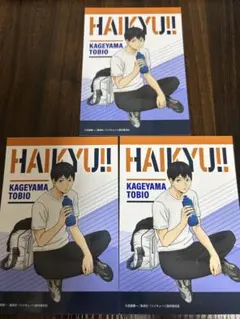 ジャンプフェスタ　影山飛雄　ハイキュー!!　エンスカイ　生ブロマイド