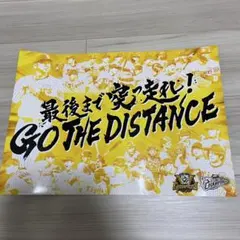 阪神タイガース