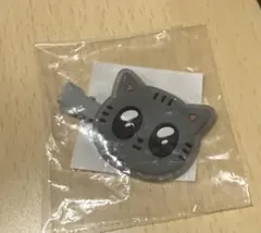 TXT ダゴニャン　ヘアクリップ　カプセルトイ　テヒョン