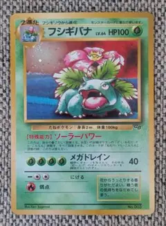 本日限定出品※極美品※枠ズレエラー※フシギバナ 旧裏 ポケモンカード 旧裏面 フシギバナ 枠ズレ - メルカリ