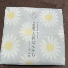 Item thumbnail for item 81cfc677-b10d-4ae3-9b1c-6d07bcb4414a